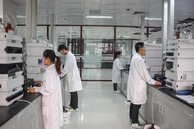 生物醫藥看濱海 | 凱萊英醫藥集團 以技術驅動成長，與濱海新區共譜新篇